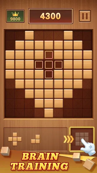 Wood Block 99 - Sudoku Puzzle (Вуд Блок 99)  [МОД Много монет] Screenshot 2