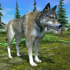 Скачать взломанную Wolf Simulator - Animal Games  [МОД Все открыто] - последняя версия apk на Андроид