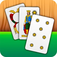 Скачать взлом Scopa - Italian Card Game (Скопа)  [МОД Меню] - последняя версия apk на Андроид