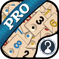 Взлом Okey Pro (Окей Про)  [МОД Бесконечные деньги] - полная версия apk на Андроид