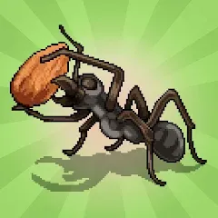 Скачать взломанную Pocket Ants: Colony Simulator (Покет Муравьи)  [МОД Unlimited Money] - полная версия apk на Андроид