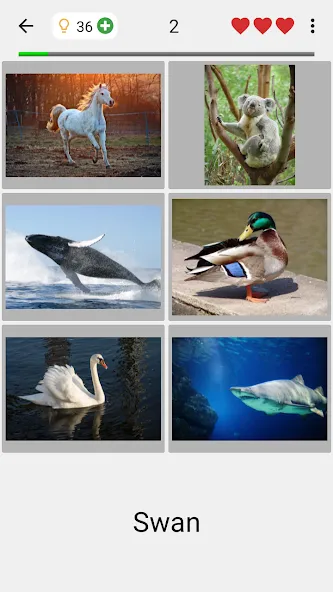 Guess Pictures and Words Quiz  [МОД Бесконечные монеты] Screenshot 2