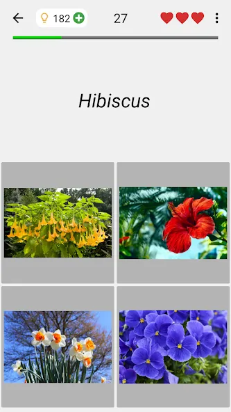 Flowers Quiz - Identify Plants  [МОД Много денег] Screenshot 4