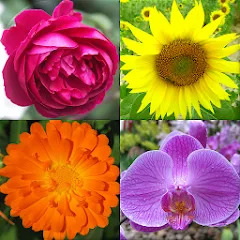 Скачать взлом Flowers Quiz - Identify Plants  [МОД Много денег] - полная версия apk на Андроид