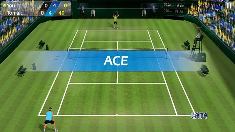 3D Tennis  [МОД Mega Pack] Screenshot 2