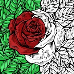 Взломанная Color by Number: Coloring Book  [МОД Бесконечные монеты] - стабильная версия apk на Андроид