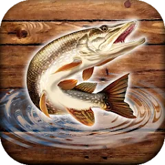 Скачать взлом Fish rain: sport fishing  [МОД Бесконечные монеты] - стабильная версия apk на Андроид