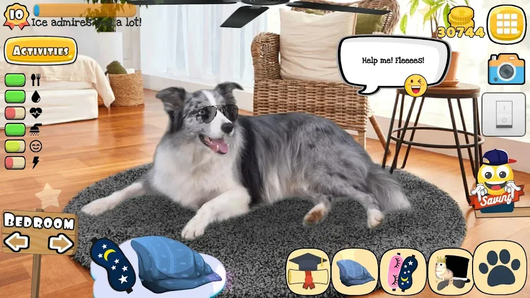 Adopt a pet : Corgi Games (Риал Петс бай Фруви)  [МОД Много денег] Screenshot 5