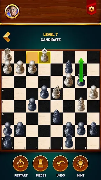 Chess - Offline Board Game  [МОД Unlocked] Screenshot 5