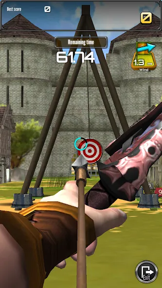 Archery Big Match  [МОД Много монет] Screenshot 5