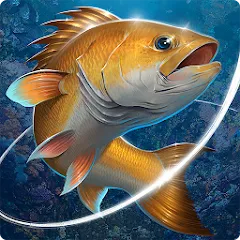 Взлом Fishing Hook  [МОД Бесконечные деньги] - стабильная версия apk на Андроид