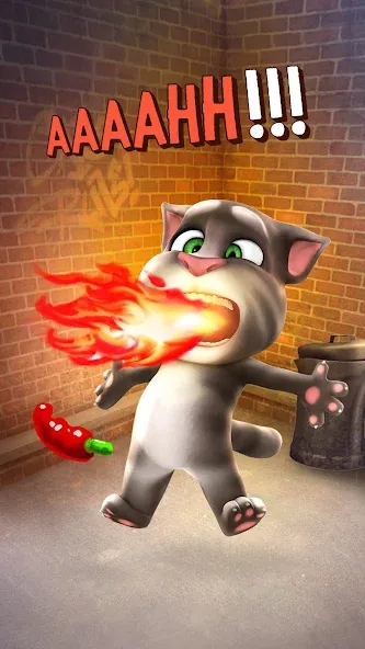 Talking Tom Cat  [МОД Много денег] Screenshot 4