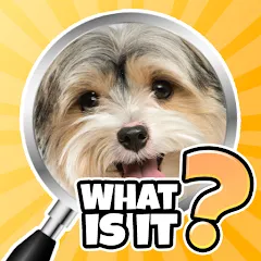 Скачать взломанную What is it? Pics Trivia Quiz  [МОД Unlocked] - последняя версия apk на Андроид