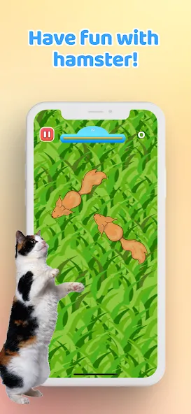 Games for Cat－Toy Mouse & Fish  [МОД Mega Pack] Screenshot 5