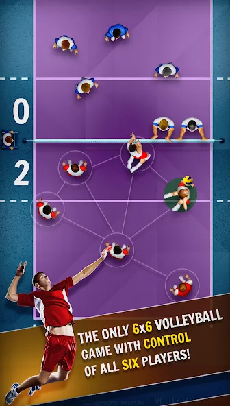 Volleyball Championship (Волейбольный чемпионат)  [МОД Все открыто] Screenshot 4