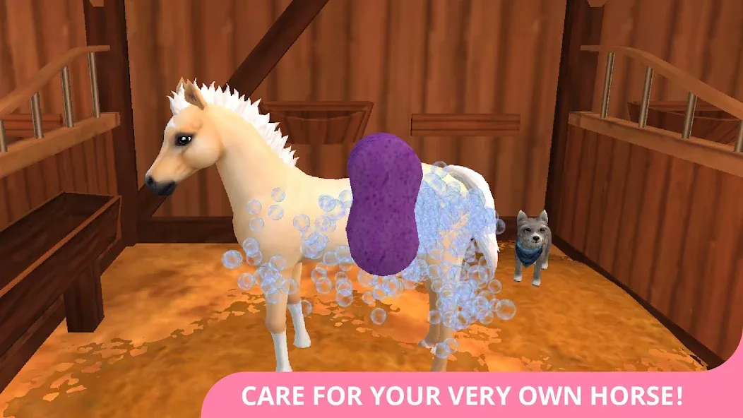 Star Stable Horses (СТар Стабл Хорсес)  [МОД Много денег] Screenshot 2