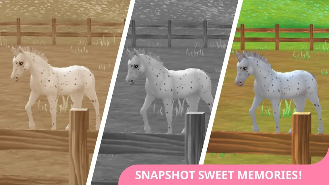 Star Stable Horses (СТар Стабл Хорсес)  [МОД Много денег] Screenshot 4