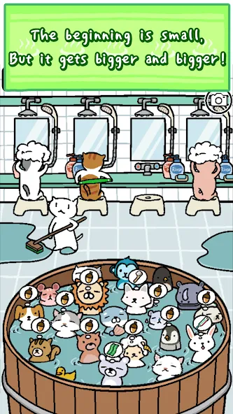 Animal Hot Springs  [МОД Unlimited Money] Screenshot 2