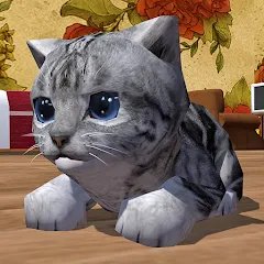 Взлом Cute Pocket Cat 3D (Сьют Покет Кэт 3Д)  [МОД Много монет] - полная версия apk на Андроид