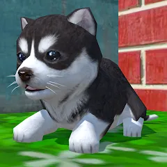 Взломанная Cute Pocket Puppy 3D (Сьют Покет Паппи 3Д)  [МОД Много денег] - полная версия apk на Андроид