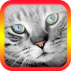 Взлом Translator for Cats Prank  [МОД Много денег] - стабильная версия apk на Андроид