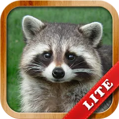 Скачать взлом Animals for Kids  [МОД Unlocked] - полная версия apk на Андроид