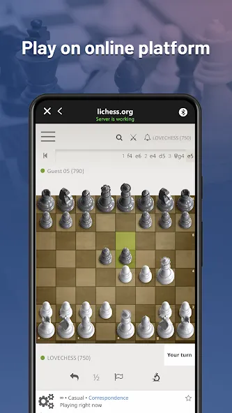 Chessnut (Честнат)  [МОД Menu] Screenshot 2