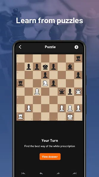 Chessnut (Честнат)  [МОД Menu] Screenshot 3