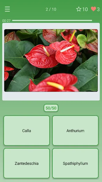 Quiz: Flowers, Plants  [МОД Меню] Screenshot 1