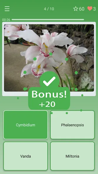 Quiz: Flowers, Plants  [МОД Меню] Screenshot 2