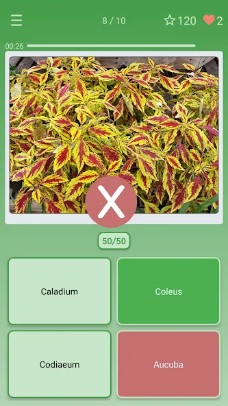 Quiz: Flowers, Plants  [МОД Меню] Screenshot 3